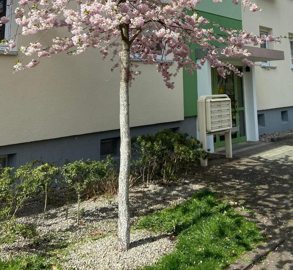 Schoene Kleine Wohnung Cottbus Luaran gambar